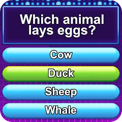 Trivia Crush MOD — Много денег на Андроид