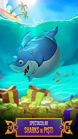 Скачать Pisti ZingPlay — Модификация Много денег — скриншот 4