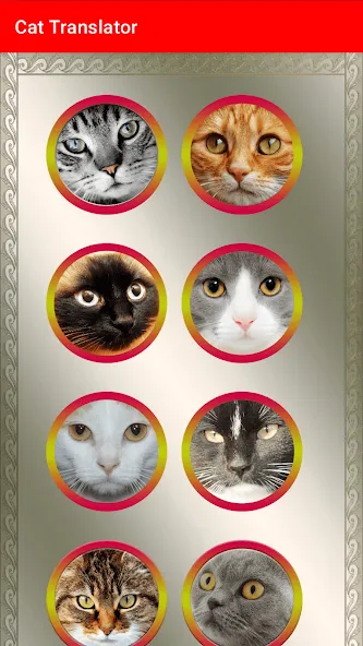 Скачать Translator for Cats Prank на Android — Все кошачьи фразы открыты — скриншот 3
