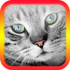 Скачать Translator for Cats Prank на Android — Все кошачьи фразы открыты
