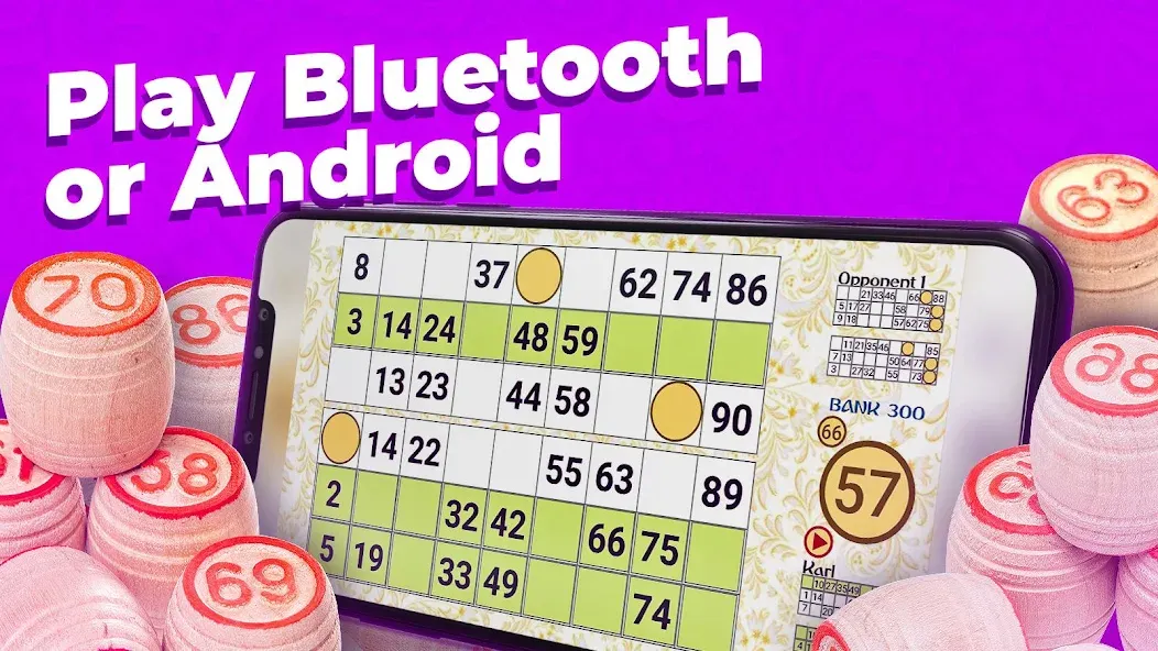 Russian Loto - 90 Ball Bingo — Мод: Много денег — скриншот 3