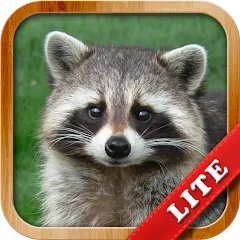 Animals for Kids на Андроид — Мод Все животные открыты