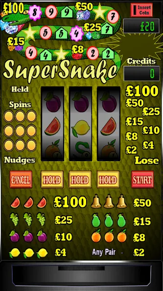 Скачать взлом Super Snake Slot Machine на Андроид — Взломанная на деньги — скриншот 1