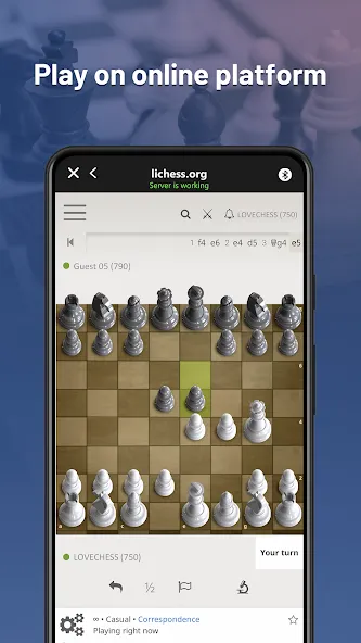 Скачать взлом Chessnut на Андроид — Все открыто — скриншот 2