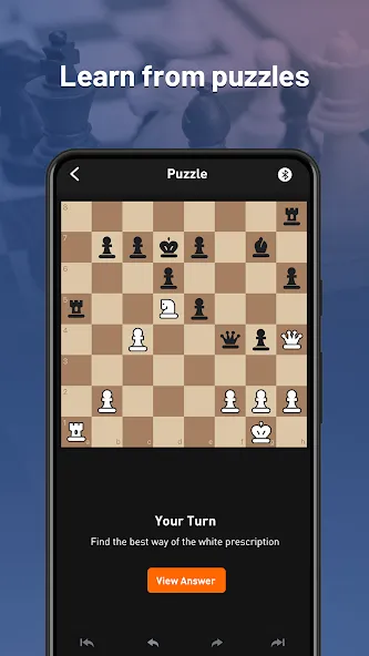 Скачать взлом Chessnut на Андроид — Все открыто — скриншот 3