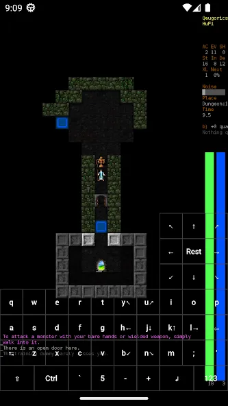 Dungeon Crawl Stone Soup — Взломанная версия (Много золота и улучшенная экипировка) — скриншот 3 Dungeon Crawl Stone Soup — Взломанная версия (Много золота и улучшенная экипировка) — скриншот 3