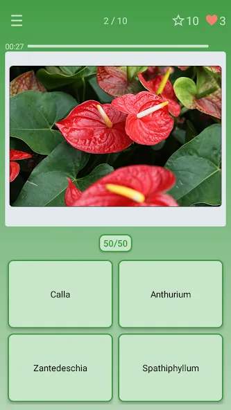 Скачать Quiz: Flowers, Plants на Андроид — Все уровни разблокированы — скриншот 1