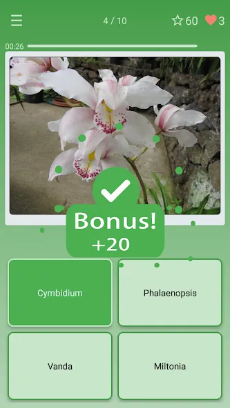 Скачать Quiz: Flowers, Plants на Андроид — Все уровни разблокированы — скриншот 2