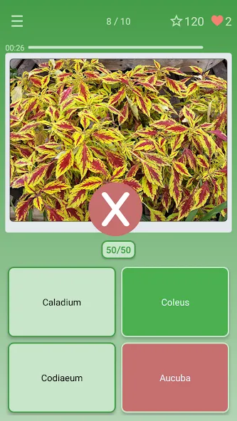 Скачать Quiz: Flowers, Plants на Андроид — Все уровни разблокированы — скриншот 3